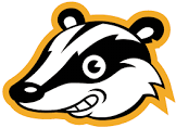 privacy%20badger.png